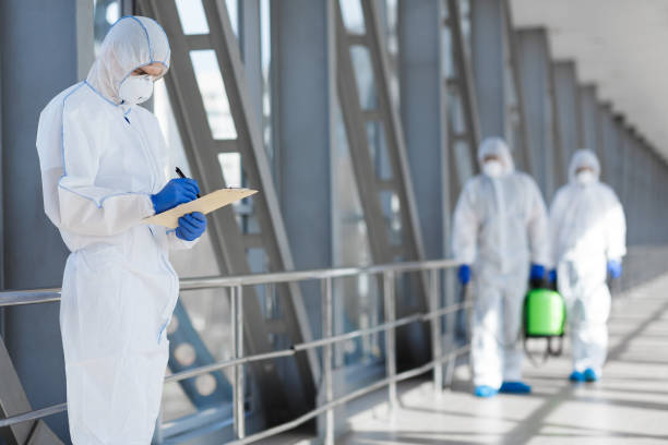 Best Black Mold Removal  in New Chicago, IN