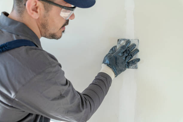 Best Mold Prevention Services  in New Chicago, IN