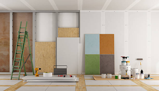 Best Mold Odor Removal Services  in New Chicago, IN
