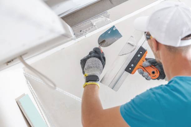 Best Mold Removal for HVAC Installations  in New Chicago, IN